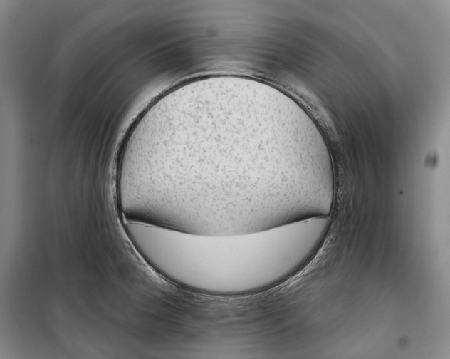 X0000099451188200805301505