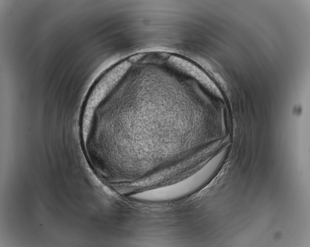 X0000099451189200805301505