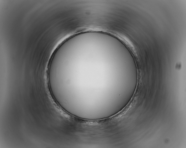 X0000099451190200805301505