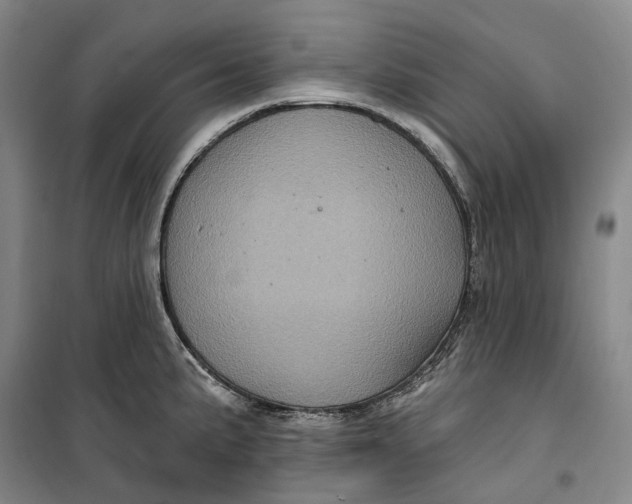 X0000099451191200805301505