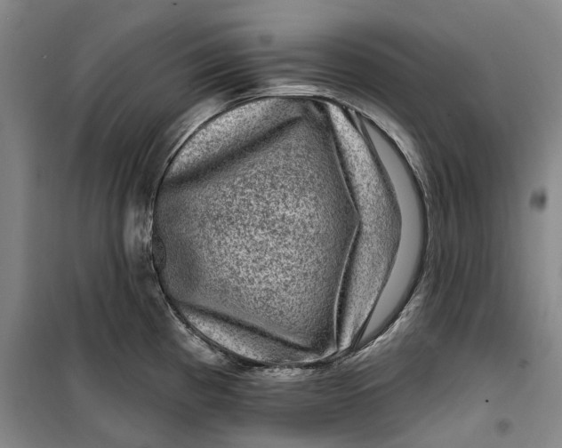 X0000099451193200805301505