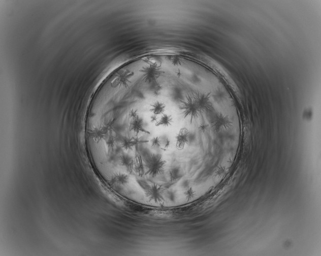 X0000099451194200805301505