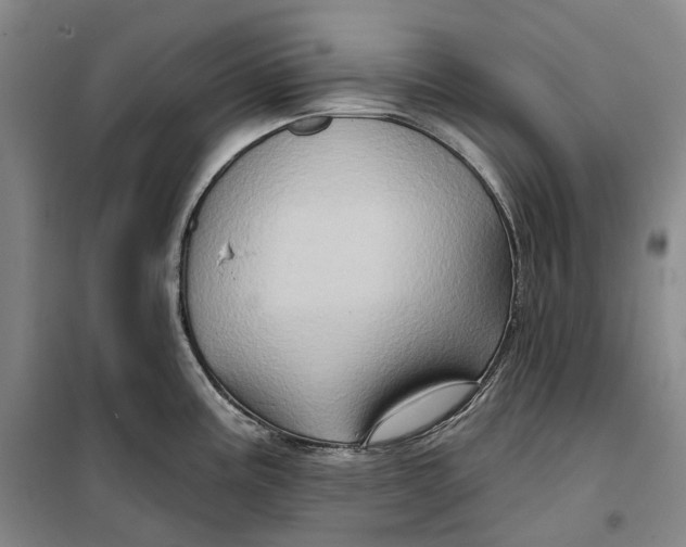 X0000099451195200805301505