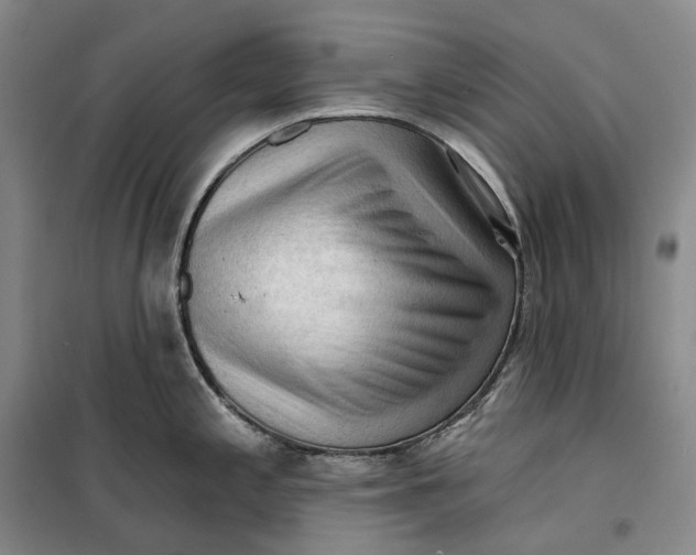 X0000099451197200805301505