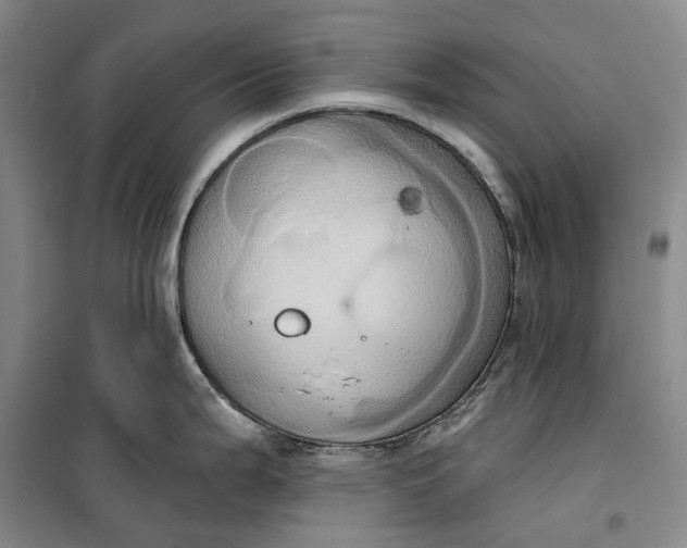 X0000099451199200805301505