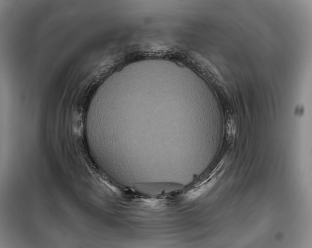 X0000099451204200805301505