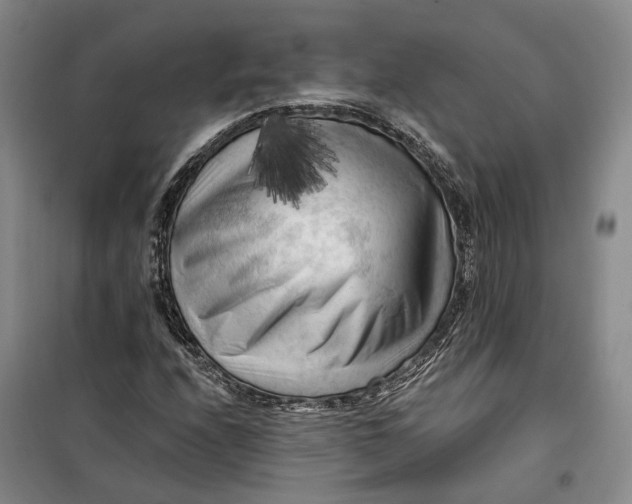 X0000099451208200805301505