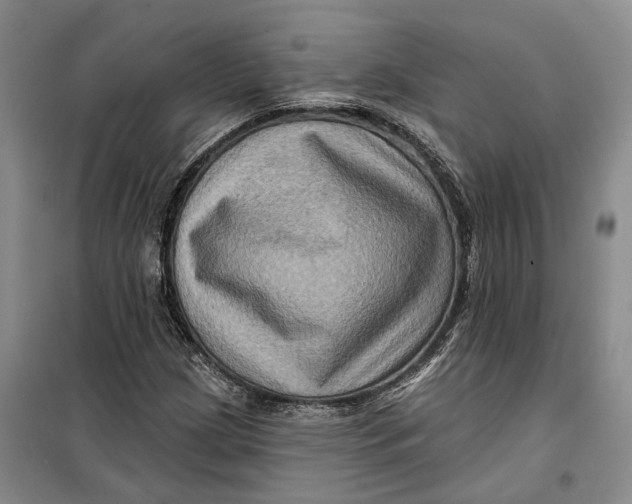 X0000099451209200805301505