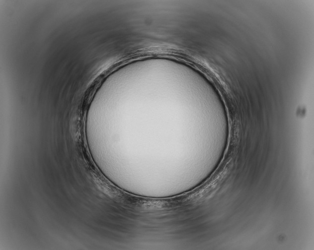 X0000099451211200805301505