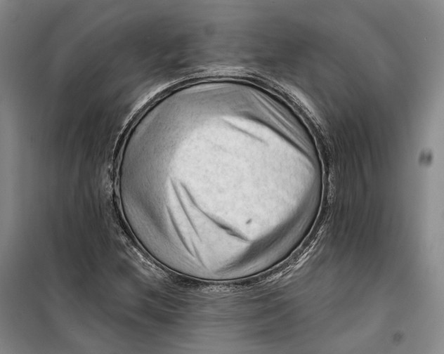 X0000099451212200805301505