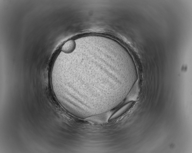 X0000099451214200805301505