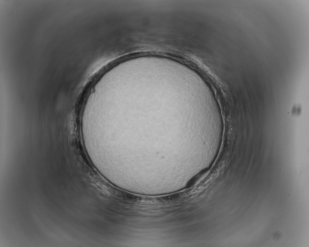 X0000099451215200805301505