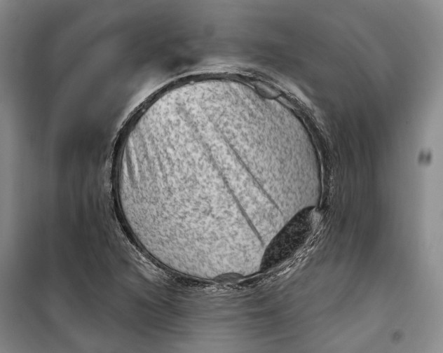 X0000099451216200805301505