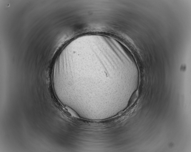 X0000099451218200805301505