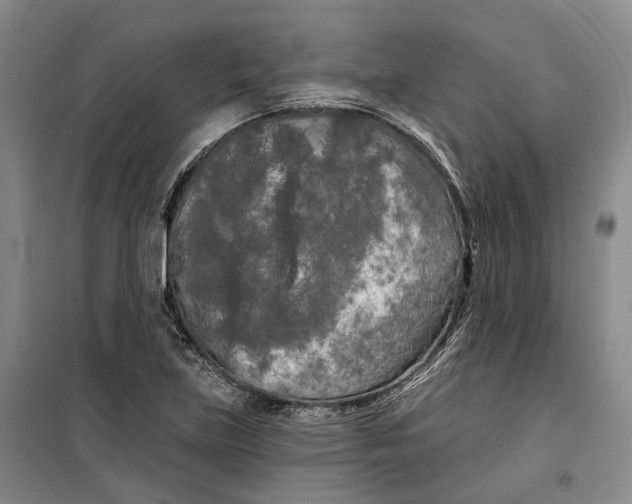 X0000099451219200805301505