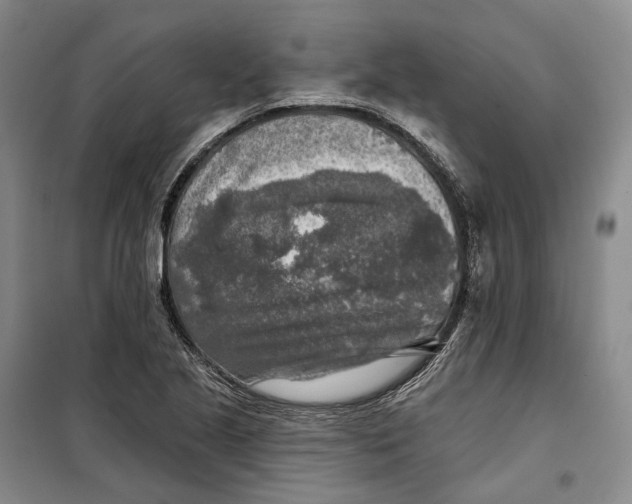 X0000099451221200805301505