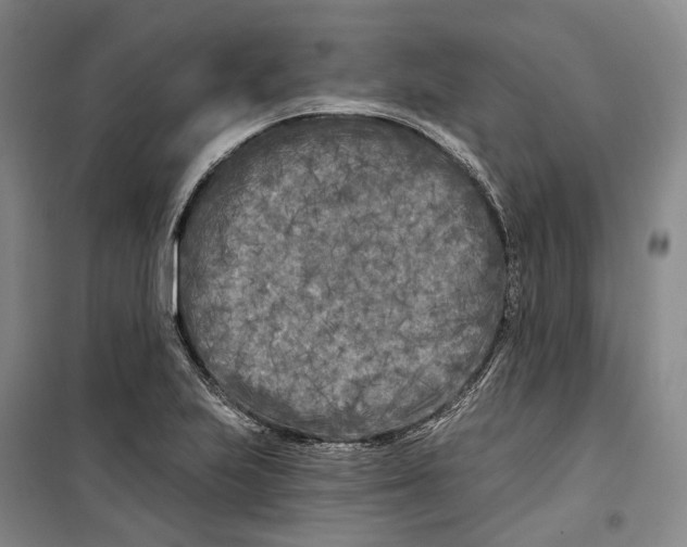 X0000099451223200805301505