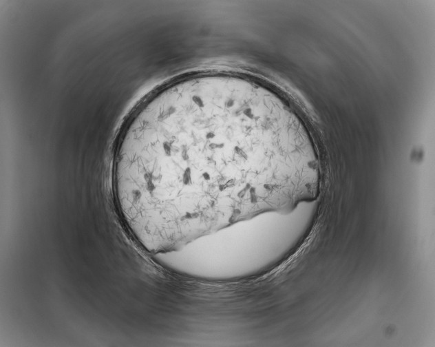 X0000099451224200805301505