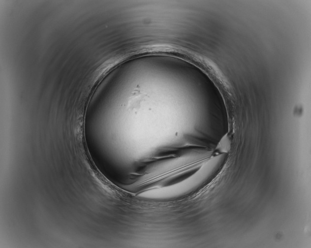 X0000099451225200805301505