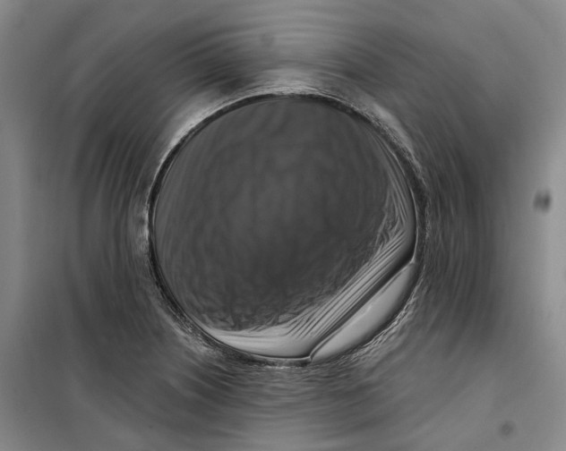 X0000099451226200805301505