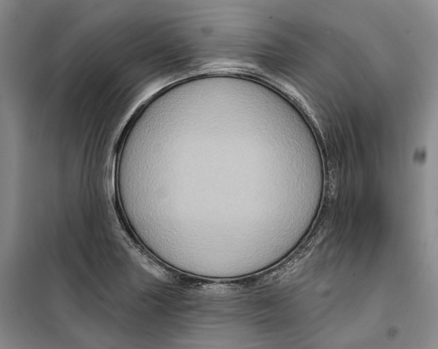 X0000099451227200805301505