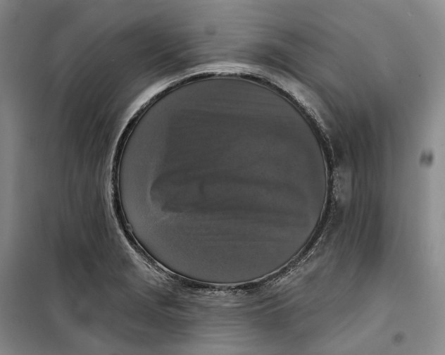 X0000099451229200805301505