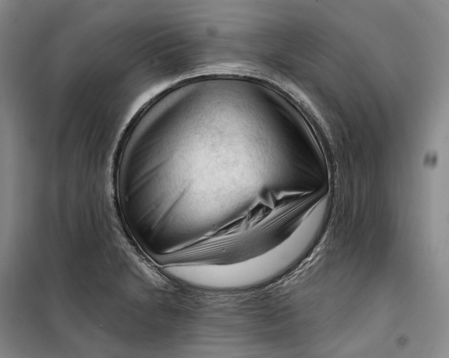 X0000099451230200805301505