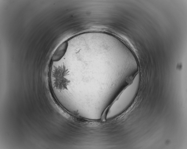 X0000099451235200805301505