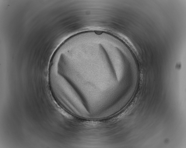 X0000099451236200805301505