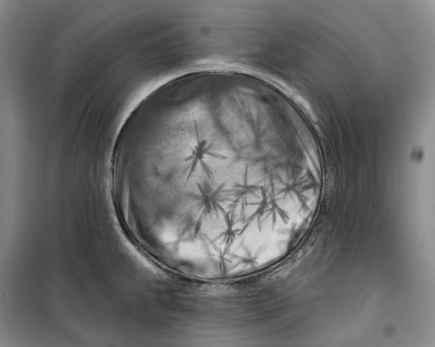 X0000099451239200805301505