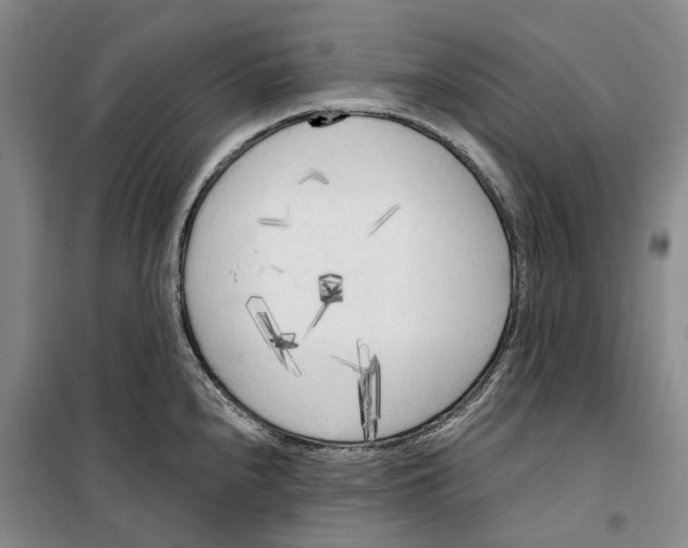 X0000099451240200805301505