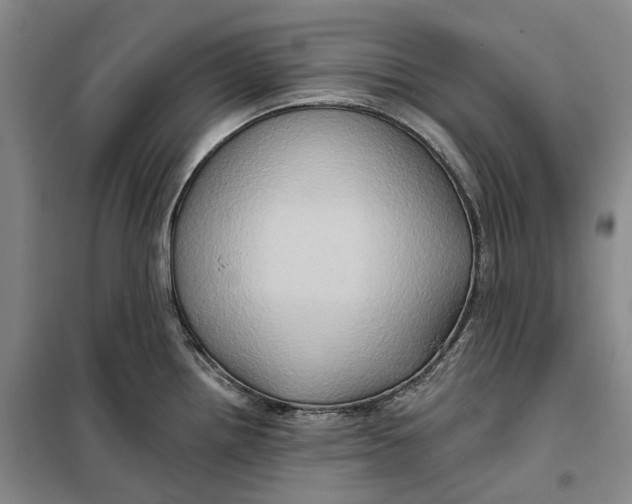 X0000099451242200805301505