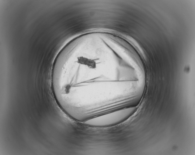 X0000099451244200805301505