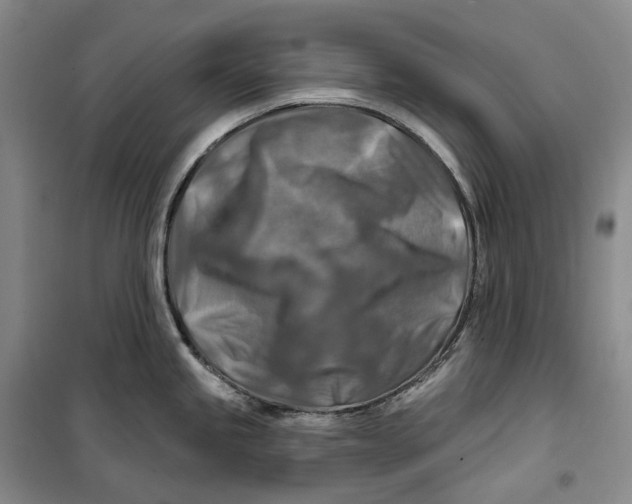 X0000099451245200805301505