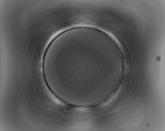 X0000099451246200805301505