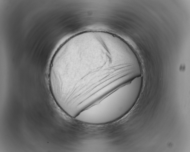 X0000099451248200805301505