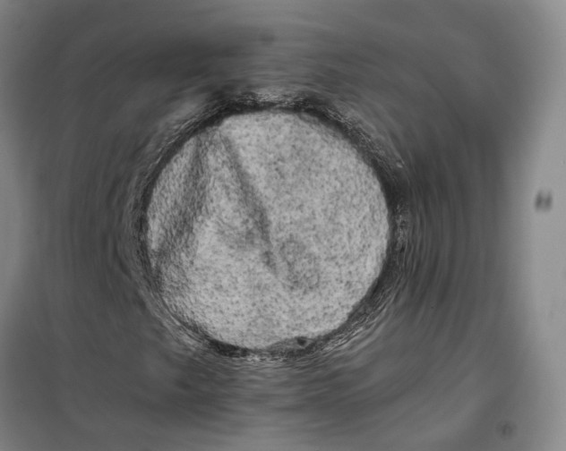 X0000099451249200805301505