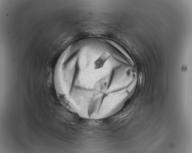 X0000099451251200805301505