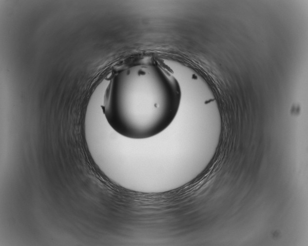 X0000099451252200805301505