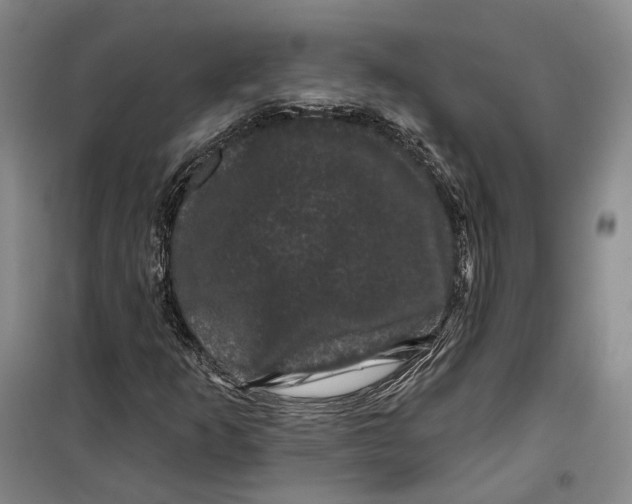 X0000099451253200805301505