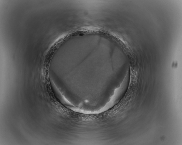 X0000099451254200805301505