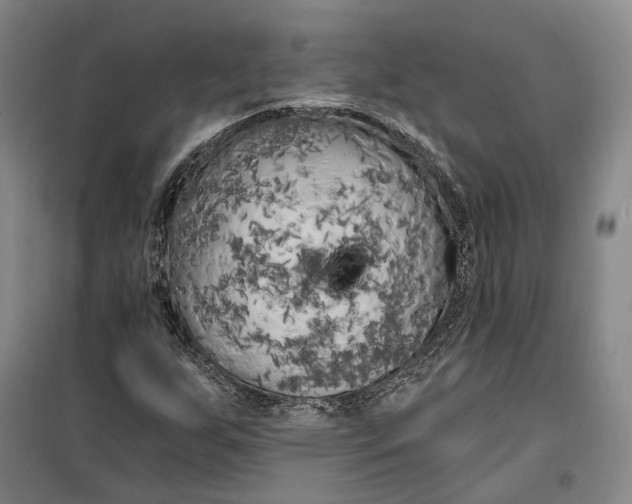 X0000099451255200805301505