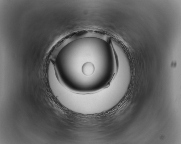 X0000099451256200805301505