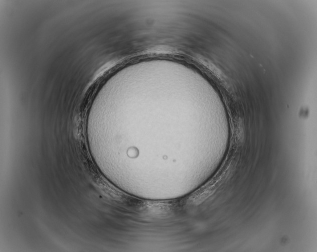 X0000099451258200805301505