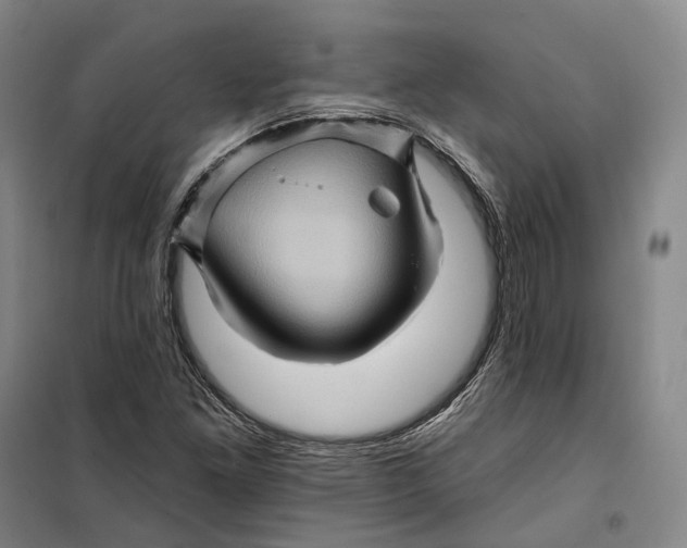 X0000099451261200805301505