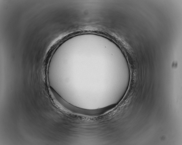 X0000099451262200805301504