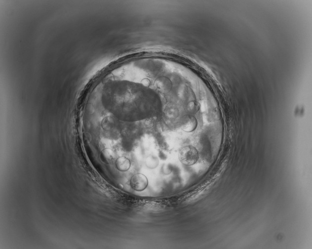 X0000099451263200805301504