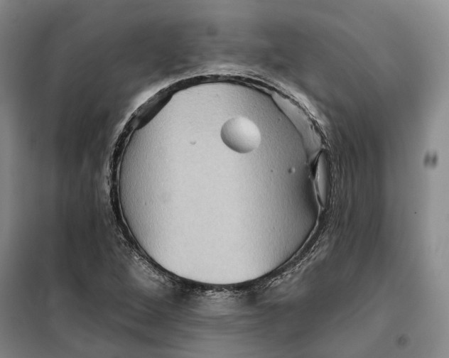 X0000099451264200805301504