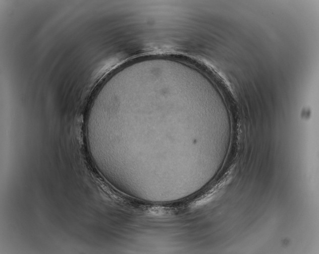 X0000099451265200805301504