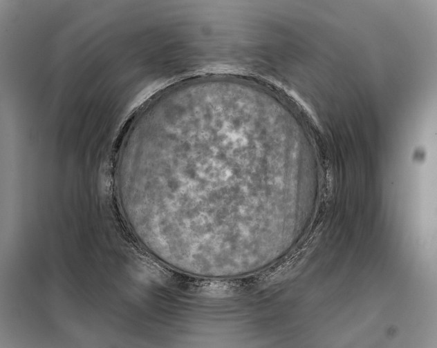 X0000099451266200805301504